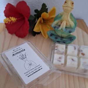 🌸✨ Blister Aromaterapia "Armonía"