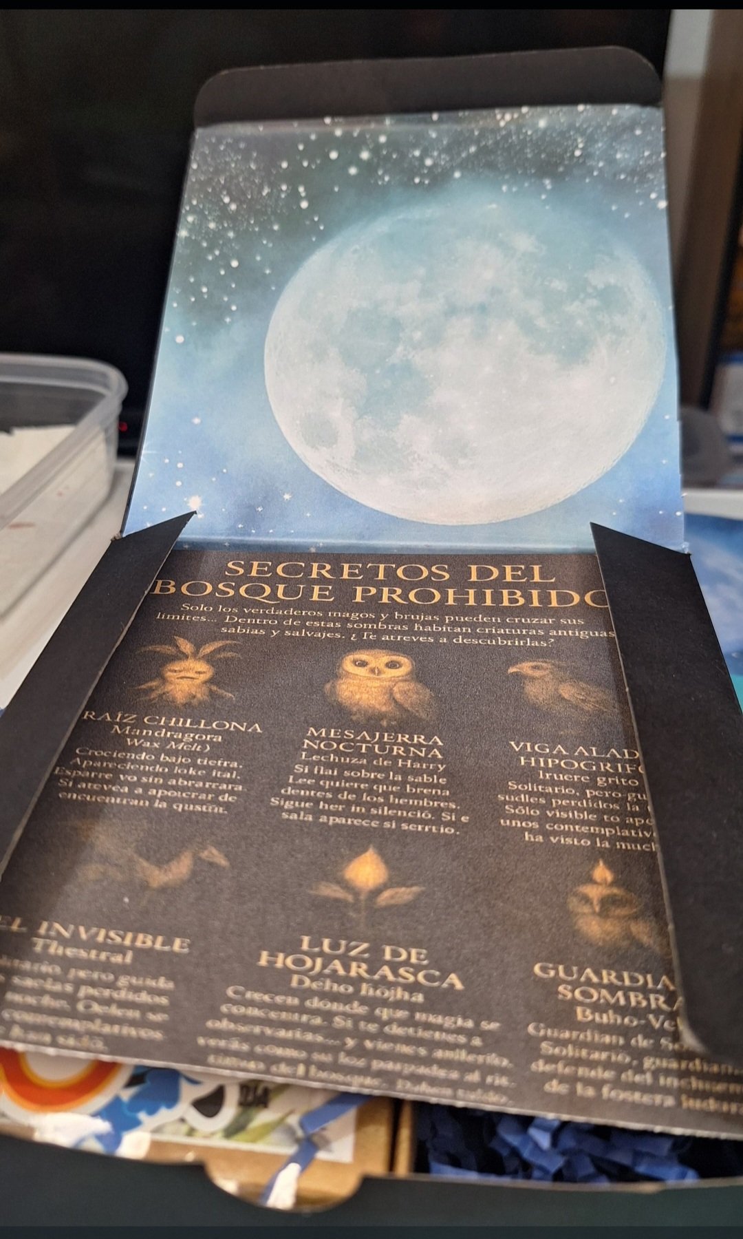 Bosque Prohibido - Imagen 2