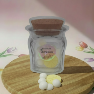 🌴🍋Wax Melts – Coco Cítrico