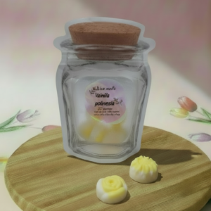 🍦🌺 Wax Melts – Vainilla de la Polinesia