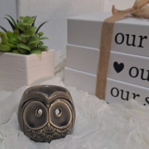 🦉Quemador Búho Tierra 🦉(pequeño)