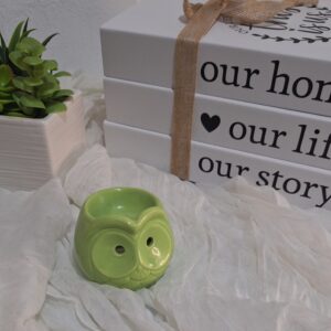 Quemador búho 🦉 bosque( pequeño)